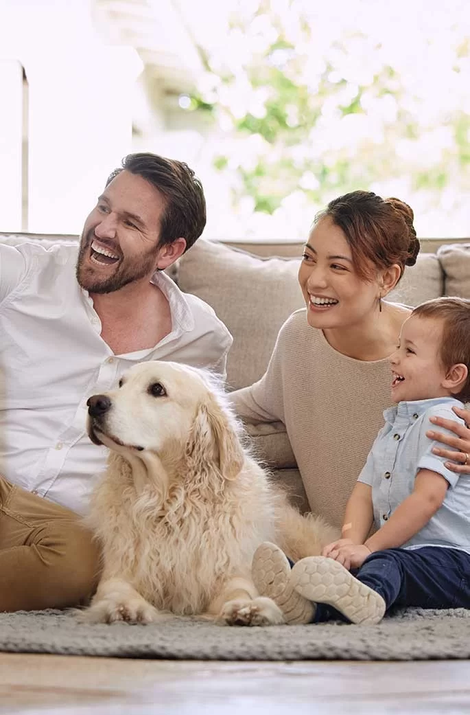 686x1041 Upstyle-Promo-01-686x1042